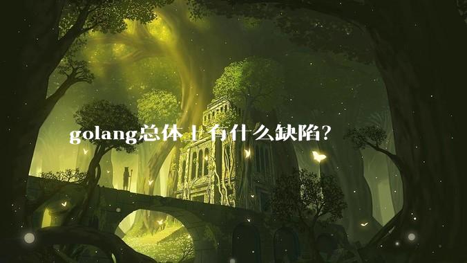 golang总体上有什么缺陷？